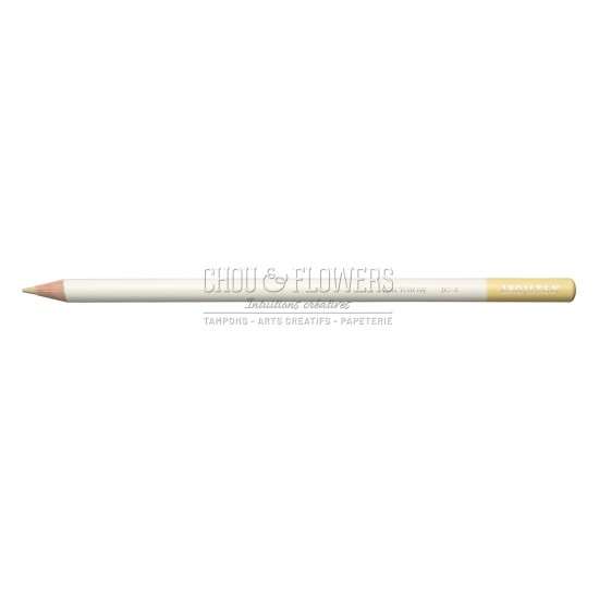 CRAYON DE COULEUR IROJITEN, WAX YELLOW