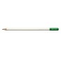 CRAYON DE COULEUR IROJITEN, PARROT GREEN