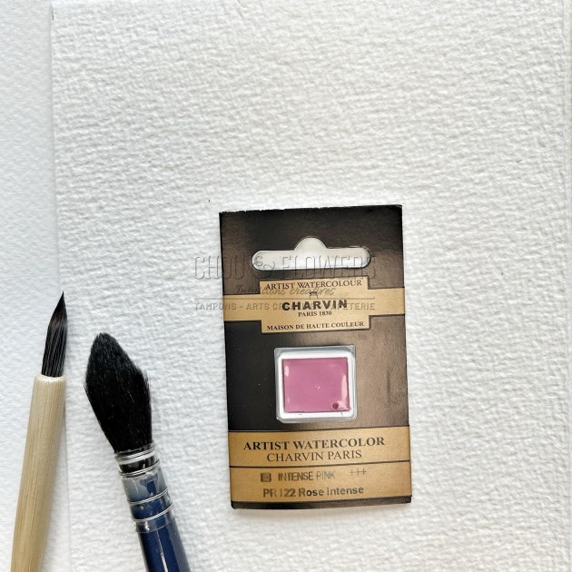 N°22 ROSE INTENSE AQUARELLE EXTRA FINE CHARVIN DEMI GODET