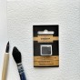 N°49 BLEU DE PRUSSE AQUARELLE EXTRA FINE CHARVIN DEMI GODET