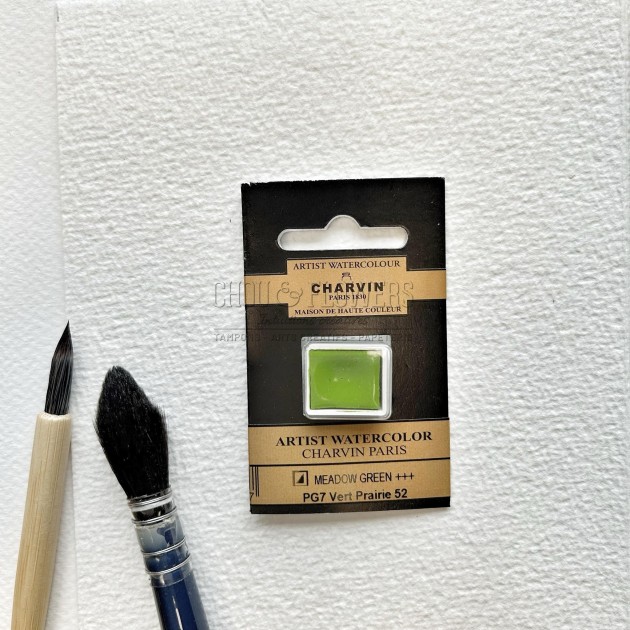 N°52 VERT PRAIRIE AQUARELLE EXTRA FINE CHARVIN DEMI GODET