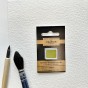 N°58 VERT DE CINABRE CLAIR AQUARELLE EXTRA FINE CHARVIN DEMI GODET