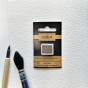 N°71 OMBRE NATURELLE AQUARELLE EXTRA FINE CHARVIN DEMI GODET