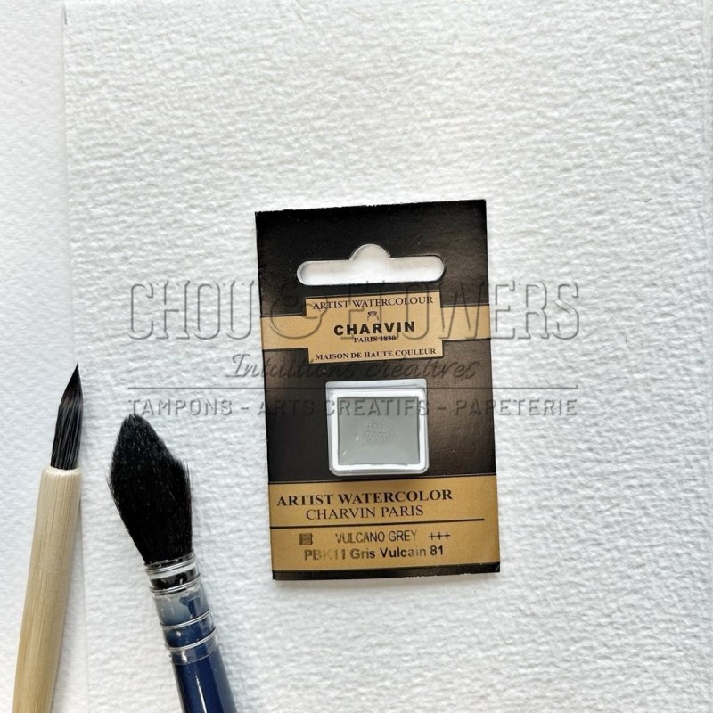 N°81 GRIS VULCAIN AQUARELLE EXTRA FINE CHARVIN DEMI GODET