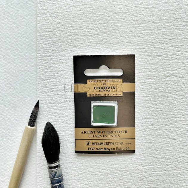 N°54 VERT MOYEN EXTRA AQUARELLE EXTRA FINE CHARVIN DEMI GODET