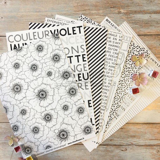 COLLECTION PAPIER A4 JOURNAL CHROMATIQUE BLACK AND WHITE