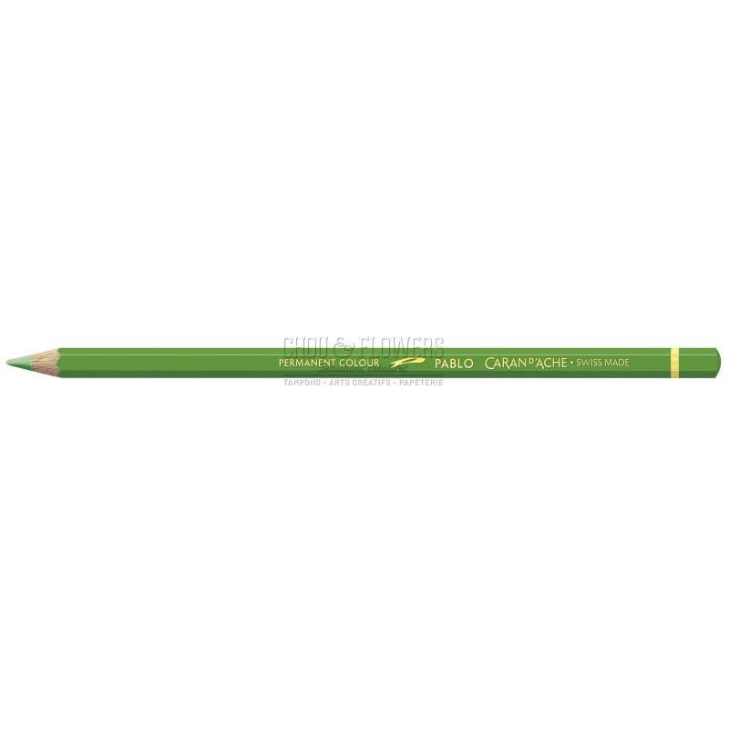 CRAYON PABLO CARAND'ACHE VERT JAUNE 230