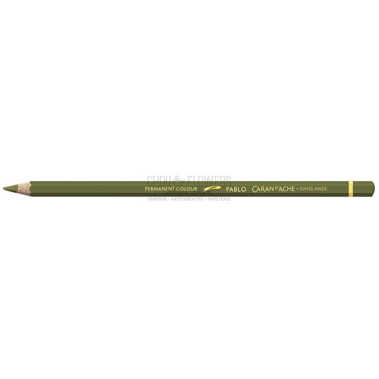 CRAYON PABLO CARAND'ACHE OLIVE FONCE 249