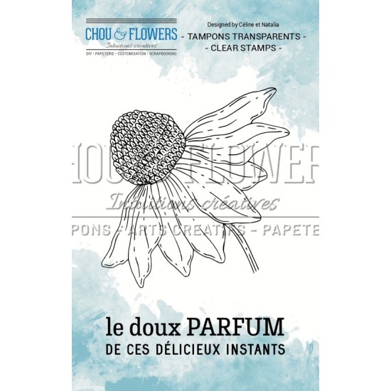 CLEAR FLEUR D'ETE