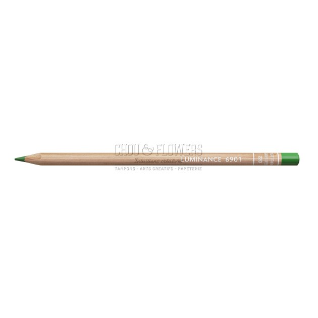 CRAYON LUMINANCE VERT PRAIRIE 220