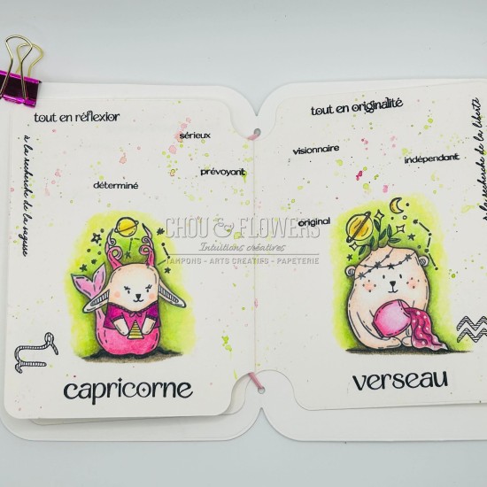 CLEAR DOUDOU CAPRICORNE