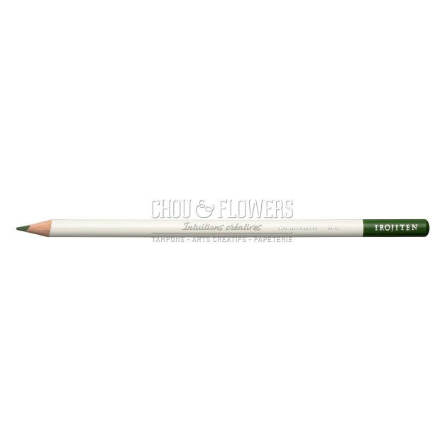 CRAYON DE COULEUR IROJITEN, CACTUS GREEN