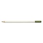 CRAYON DE COULEUR IROJITEN, ELM GREEN