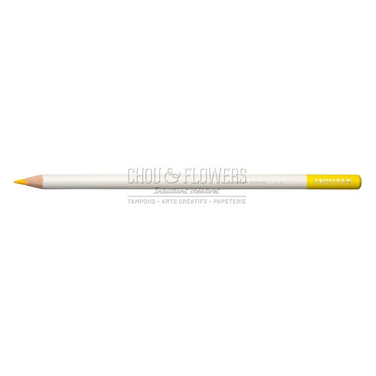 CRAYON DE COULEUR IROJITEN, FIREFLY YELLOW