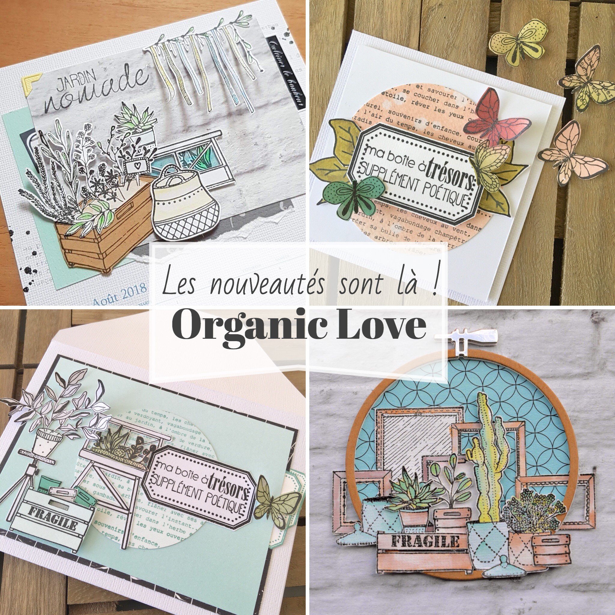 Zoom Collection "organic love, les nouveautés" #1